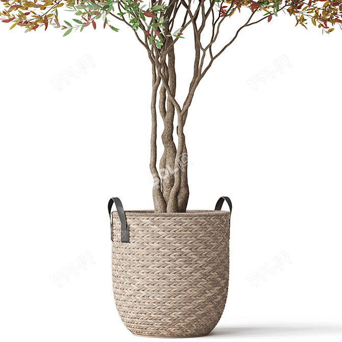 Botanical Ensemble 794 3D model image 2