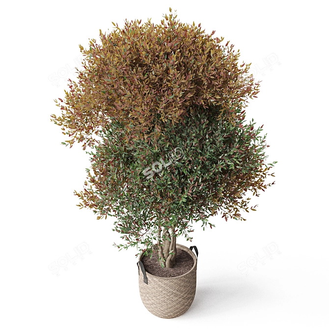 Botanical Ensemble 794 3D model image 3