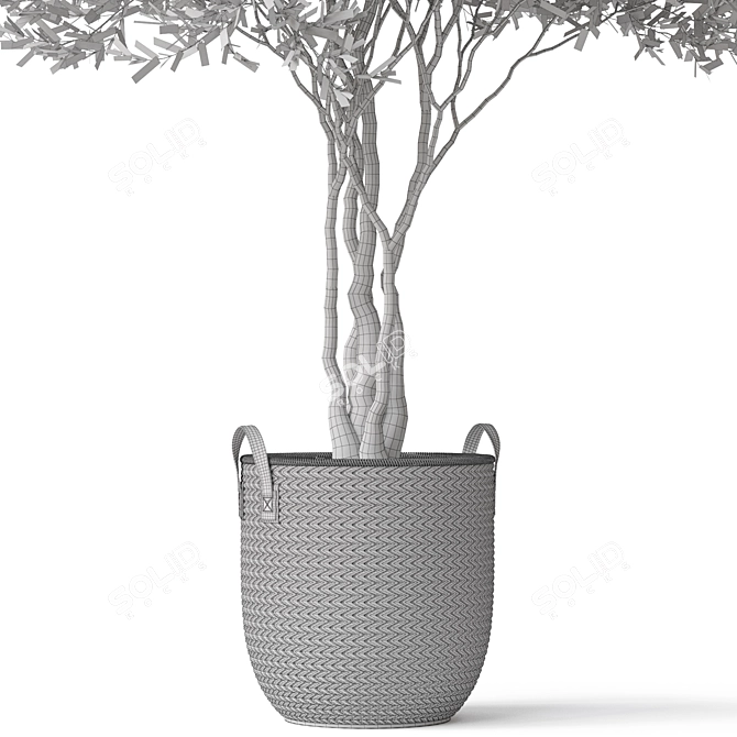 Botanical Ensemble 794 3D model image 5