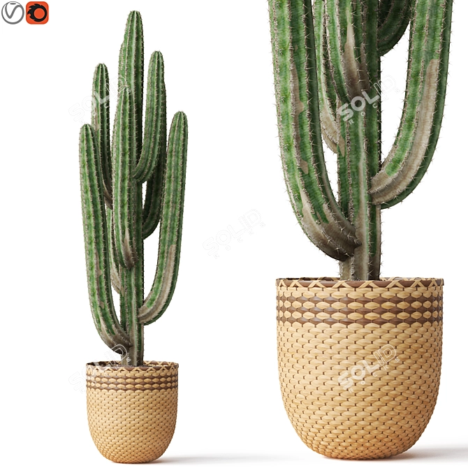 Botanical Marvel, 274K Polygons 3D model image 1