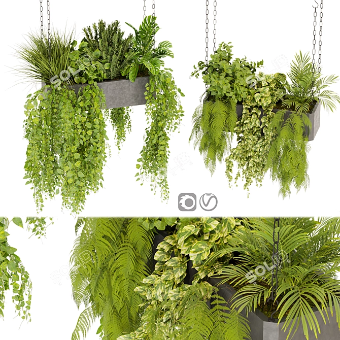 Pothos Ampelous Hanging Plant Model 3D model image 1