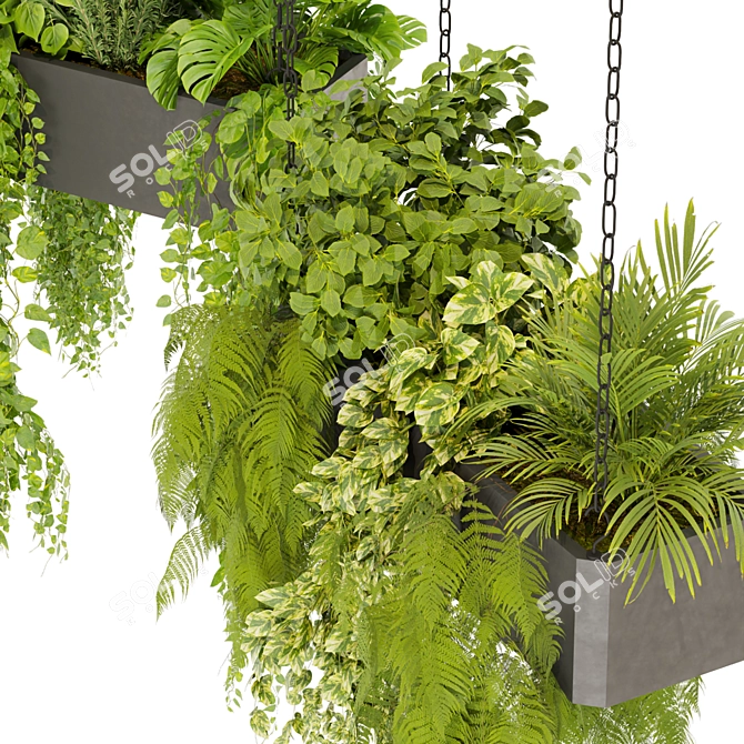 Pothos Ampelous Hanging Plant Model 3D model image 3