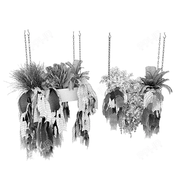 Pothos Ampelous Hanging Plant Model 3D model image 6