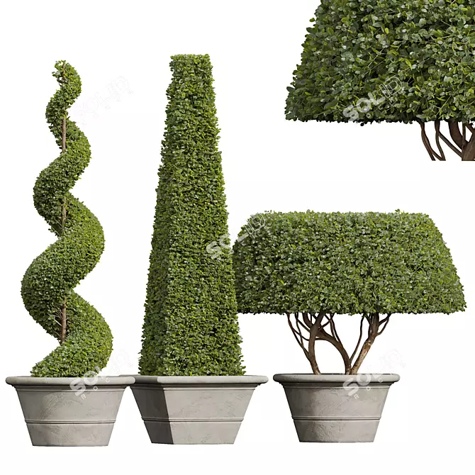 Nerve Plant 3D Models Set 3D model image 1