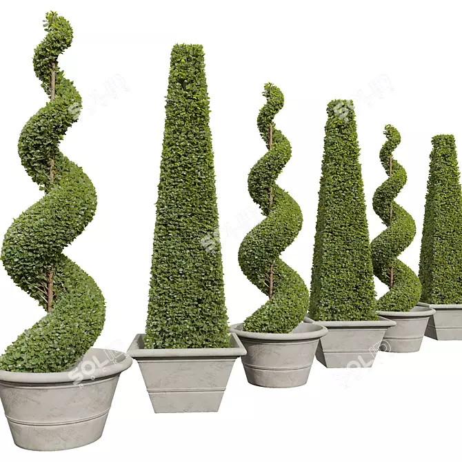 Nerve Plant 3D Models Set 3D model image 3