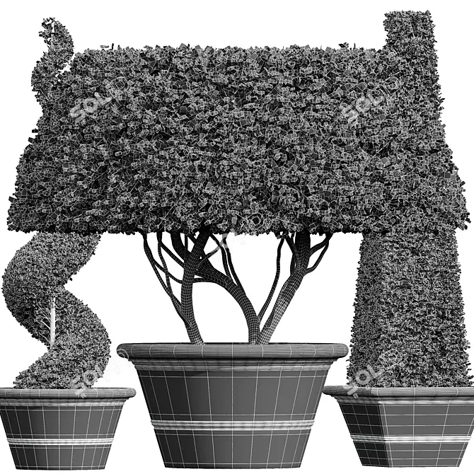 Nerve Plant 3D Models Set 3D model image 4