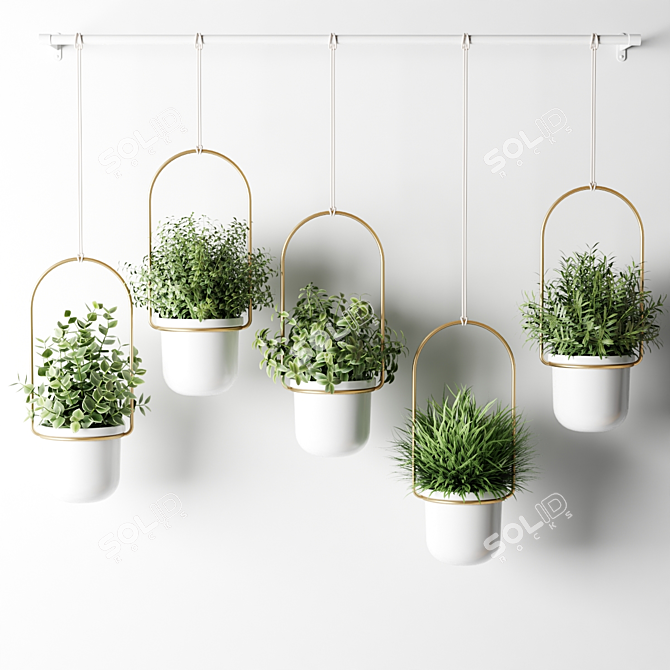 Hanging Pot Cactus Stand 3D model image 1