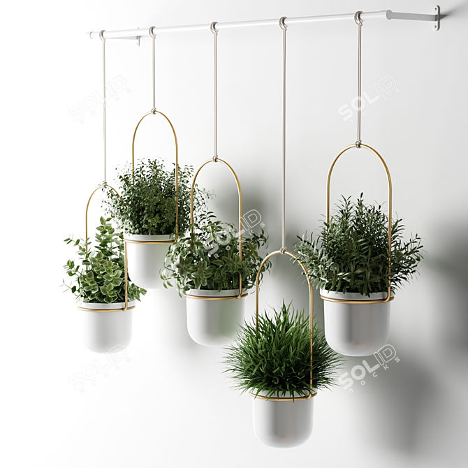 Hanging Pot Cactus Stand 3D model image 2