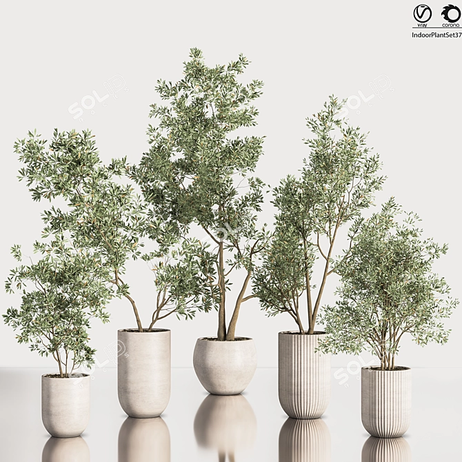 Contemporary Indoor Plant Set 3D model image 1