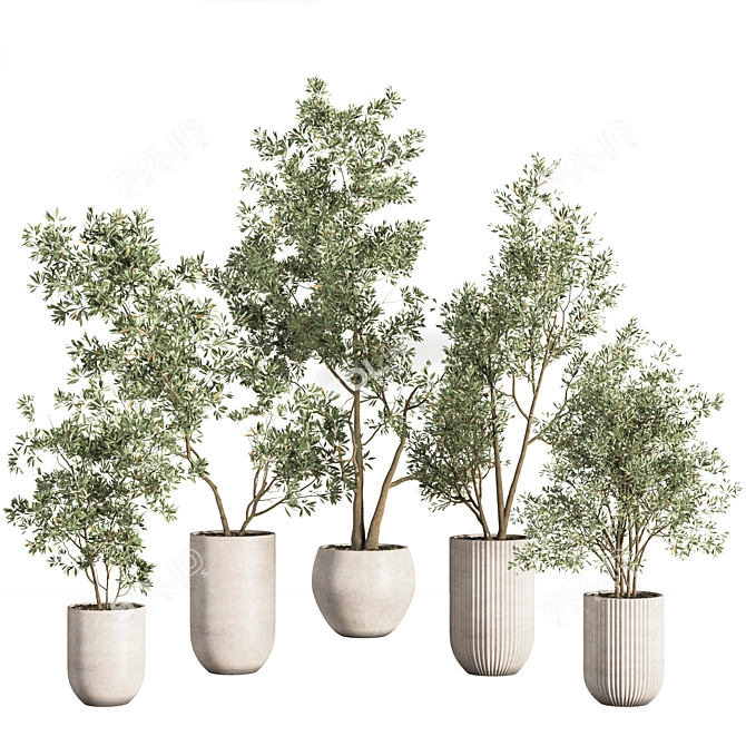 Contemporary Indoor Plant Set 3D model image 2