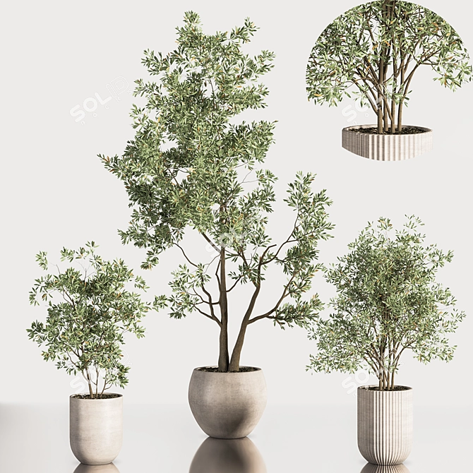Contemporary Indoor Plant Set 3D model image 3