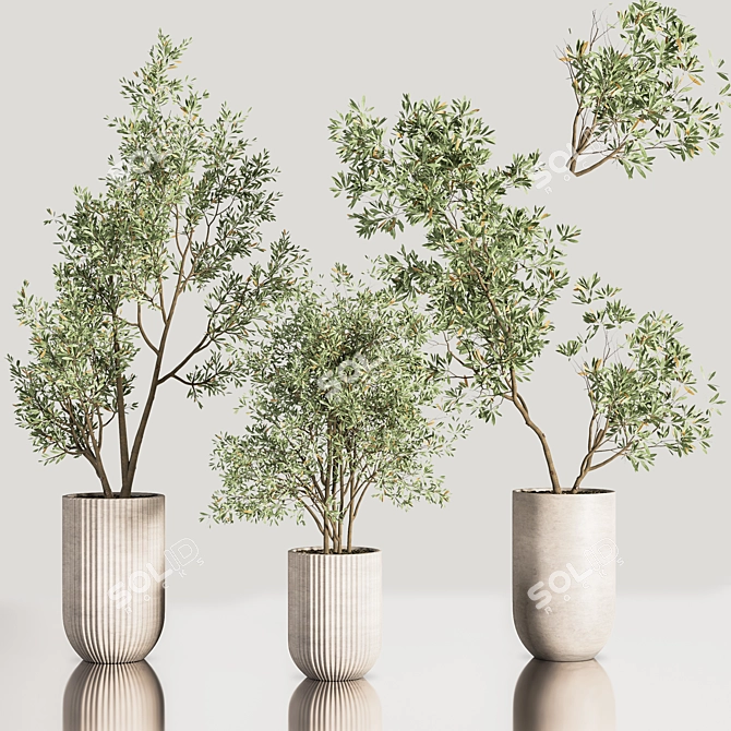Contemporary Indoor Plant Set 3D model image 4