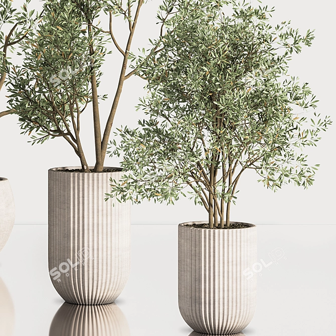 Contemporary Indoor Plant Set 3D model image 5