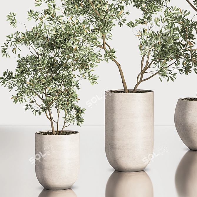 Contemporary Indoor Plant Set 3D model image 6