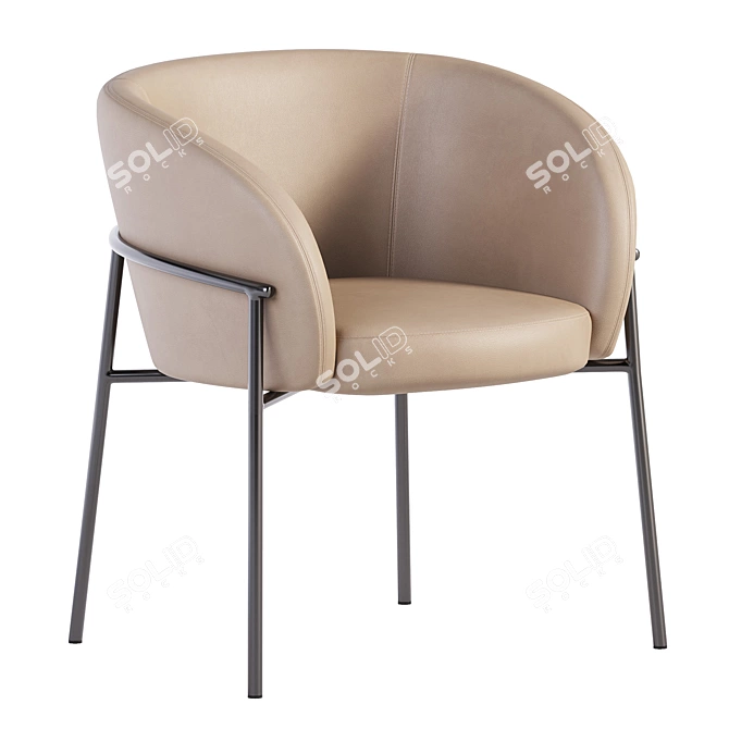 Parla Rimo Chair in Leather 3D model image 1