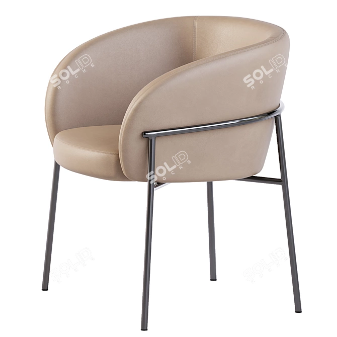 Parla Rimo Chair in Leather 3D model image 4