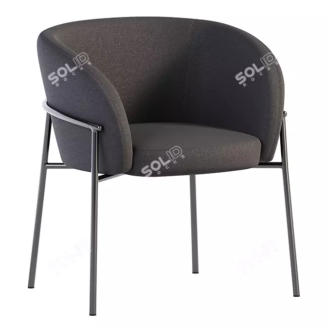 Parla Rimo Chair in Leather 3D model image 6