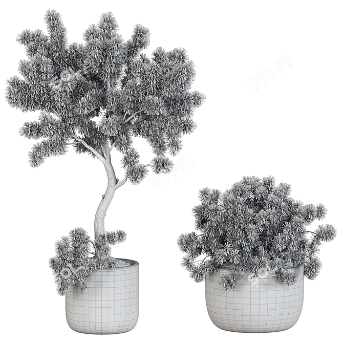 Corona Plant Collection Models 3D model image 3