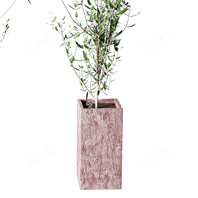  Modern Interior Plant Decor 3D model image 2