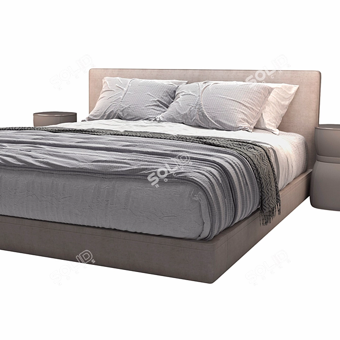 Richard B&B Italia Bed 2250x1820mm 3D model image 3