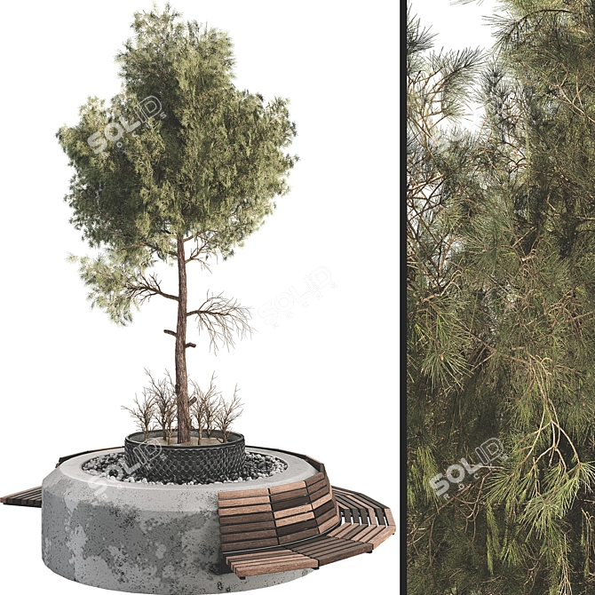 Botanical Outdoor Plant Set 3D 3D model image 1