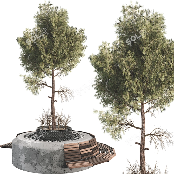 Botanical Outdoor Plant Set 3D 3D model image 2