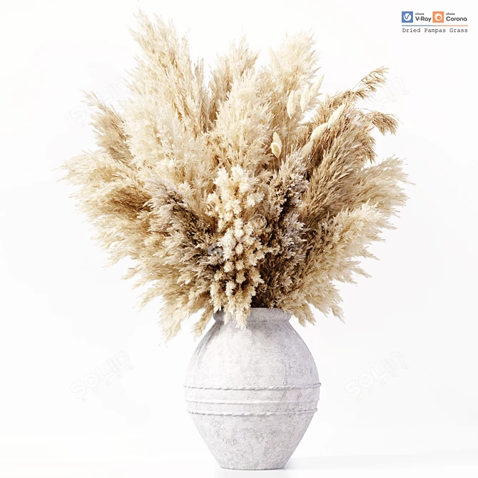 Premium Dried Pampas Grass Model 3D model image 1