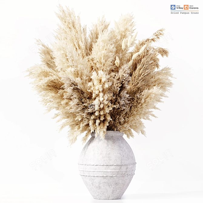 Premium Dried Pampas Grass Model 3D model image 2