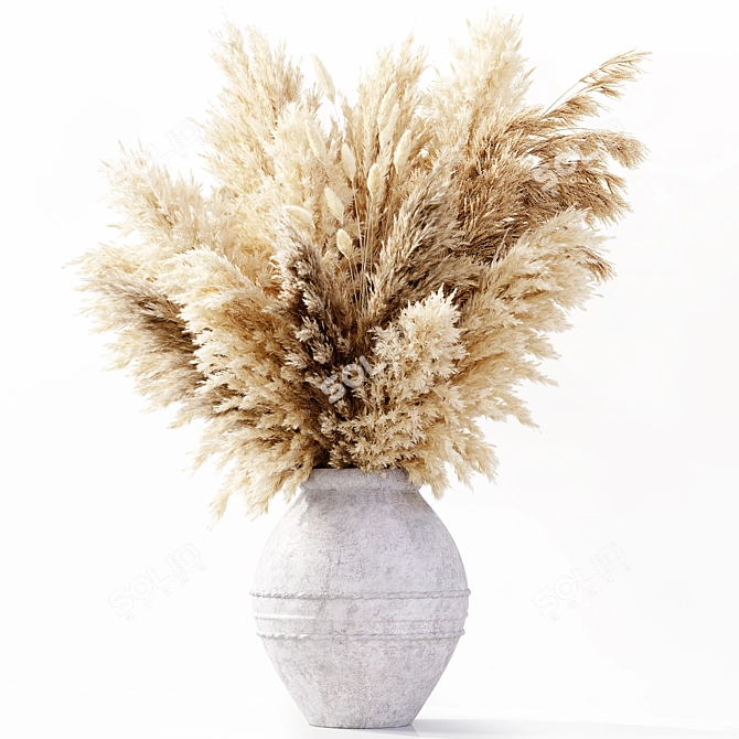 Premium Dried Pampas Grass Model 3D model image 3