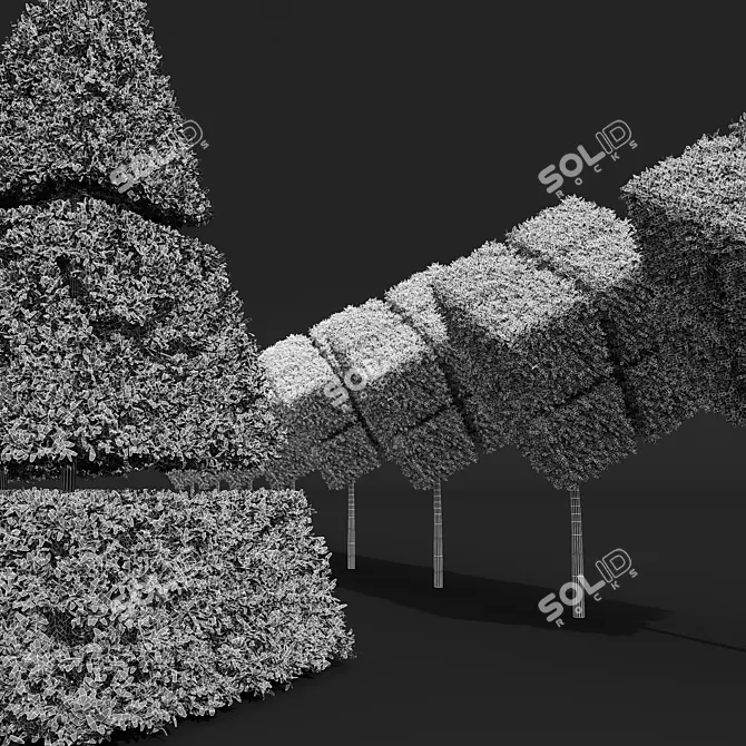 Waxy Leaf Privet Plant Model 3D model image 4