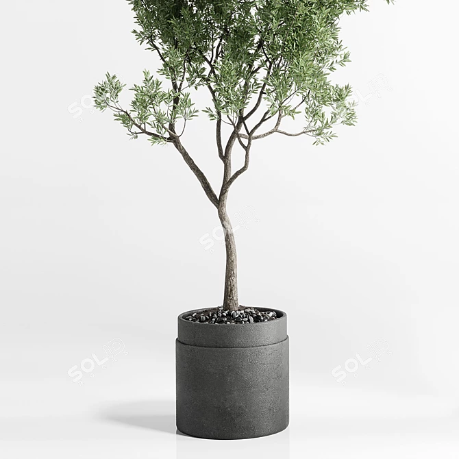 Rustic Olive Tree Concrete Vase 3D model image 2