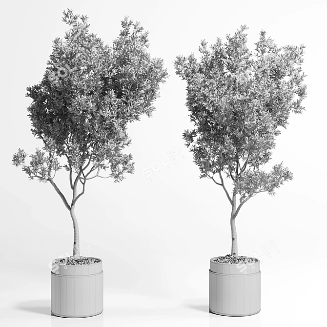 Rustic Olive Tree Concrete Vase 3D model image 7