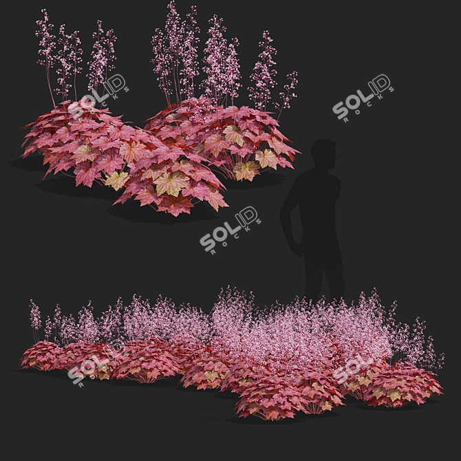 Hybrid Heuchera Flower Collection 3D model image 2