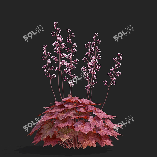 Hybrid Heuchera Flower Collection 3D model image 3