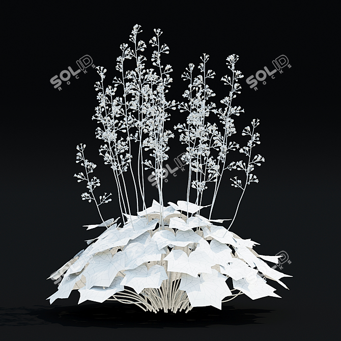 Hybrid Heuchera Flower Collection 3D model image 4