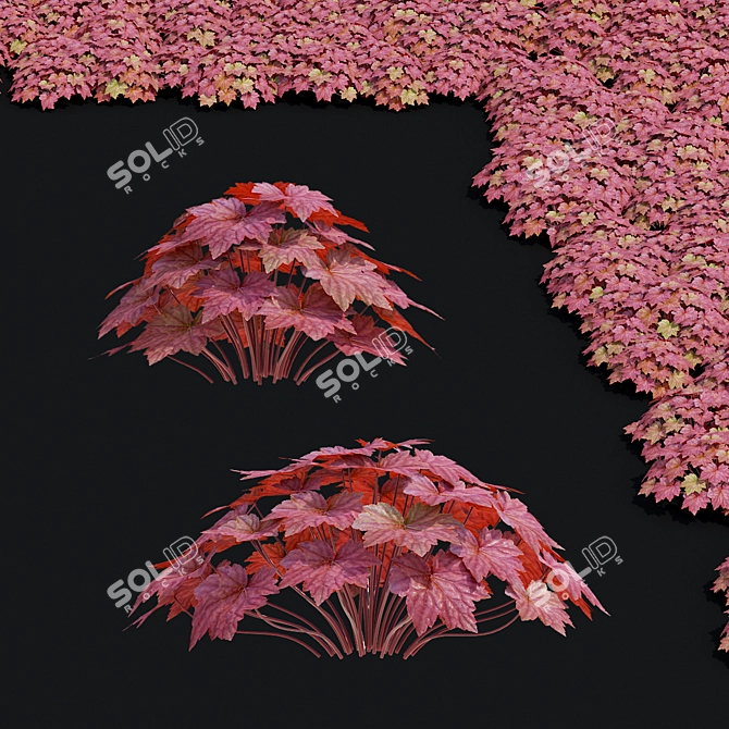 Hybrid Heuchera Flower Collection 3D model image 5