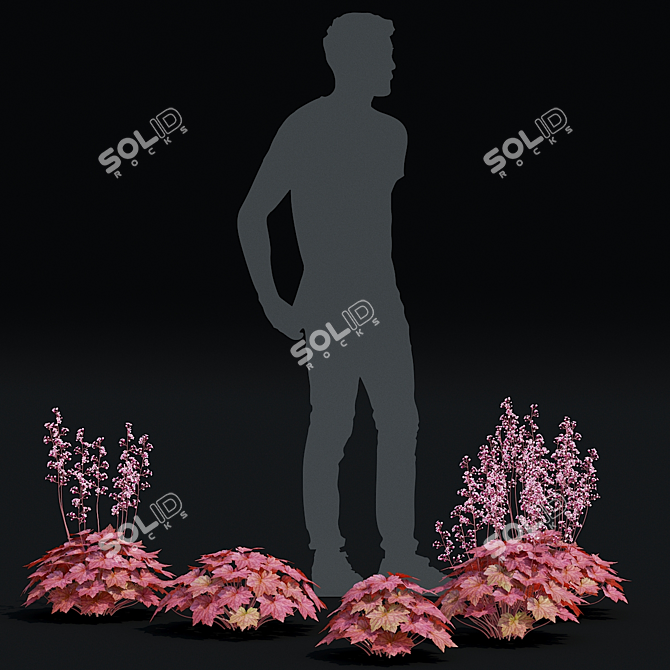 Hybrid Heuchera Flower Collection 3D model image 6