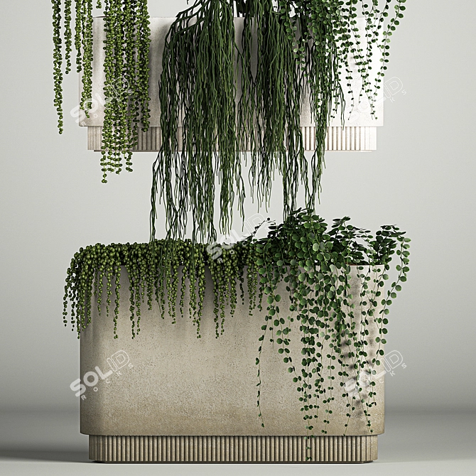 Rhipsalis & Succulent Hanging Wall Garden 3D model image 3