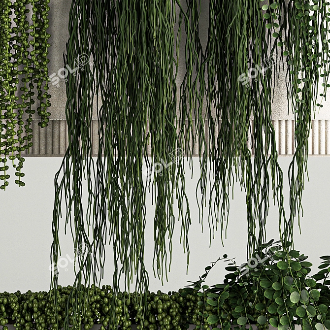 Rhipsalis & Succulent Hanging Wall Garden 3D model image 5