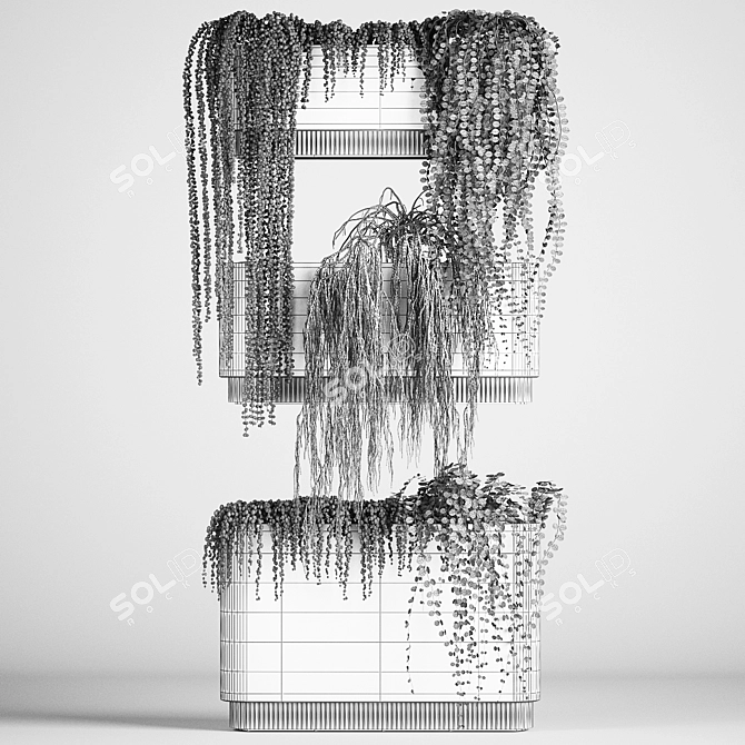 Rhipsalis & Succulent Hanging Wall Garden 3D model image 6