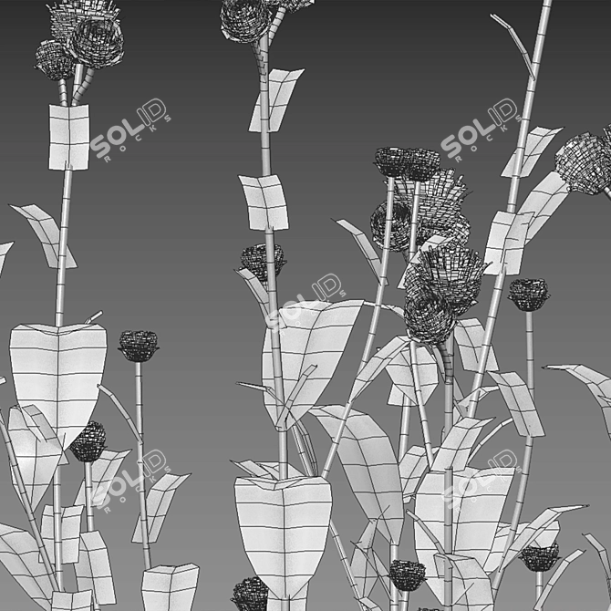 Versatile 3D Plant Models Pack 3D model image 5