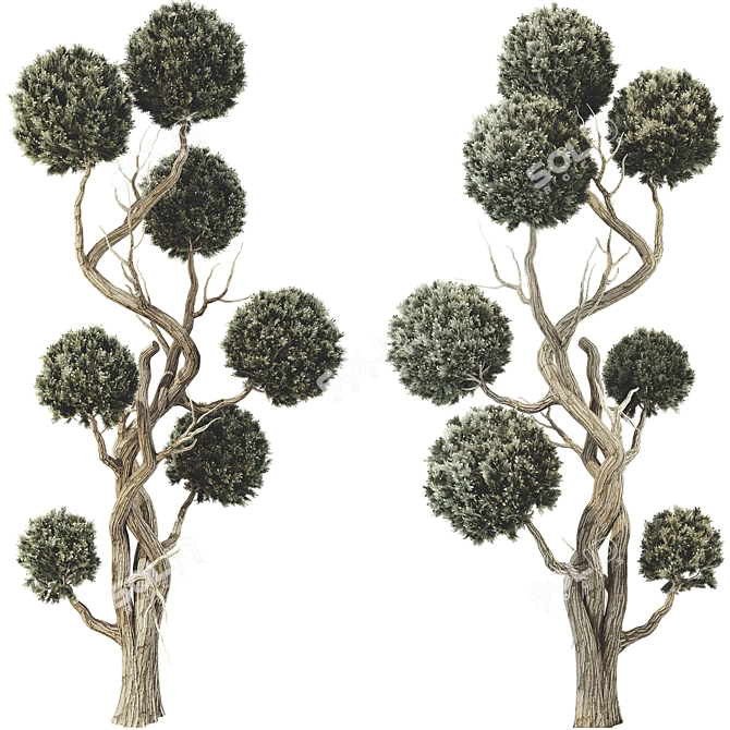 Realistic Ball Tree 3D Model 3D model image 2