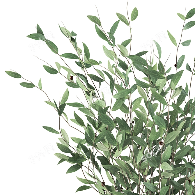 Artisan Olive Plants Decor Jar 3D model image 2