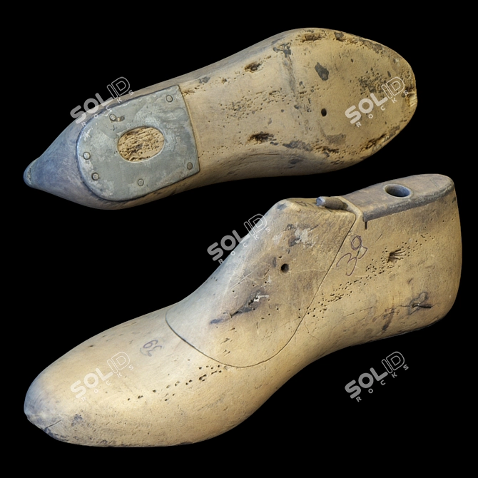 Photogrammetry Shoe Tree 39 Men 3D model image 1