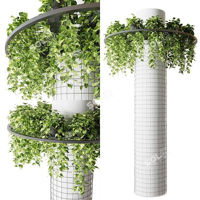 Hanging Epipremnum Plant Column 3D model image 1