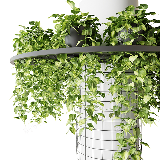 Hanging Epipremnum Plant Column 3D model image 3