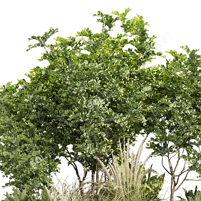 Premium Outdoor Garden Plant Collection 3D model image 3