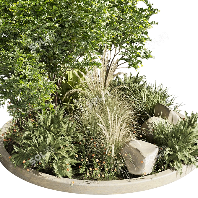 Premium Outdoor Garden Plant Collection 3D model image 4