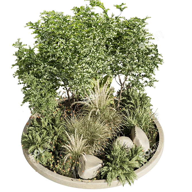 Premium Outdoor Garden Plant Collection 3D model image 5