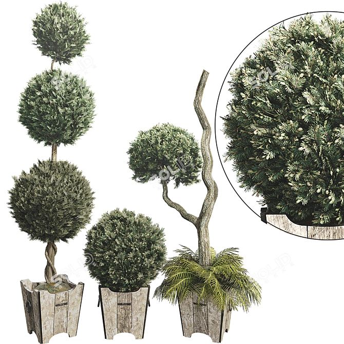 Outdoor Foliage Collection 3D Model 3D model image 1